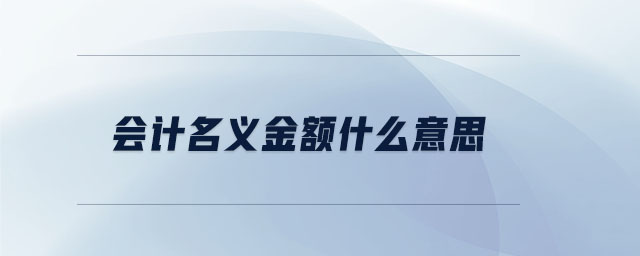 會計名義金額什么意思