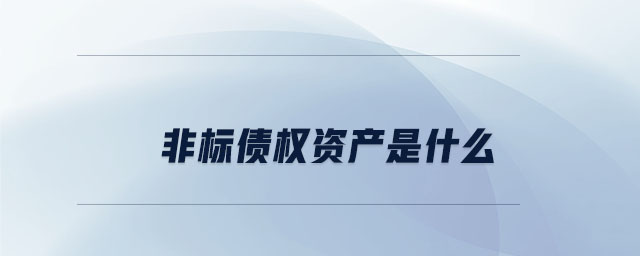 非標債權資產是什么