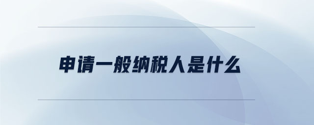 申請(qǐng)一般納稅人是什么