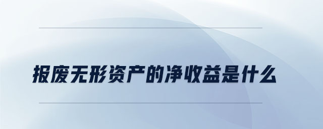 報(bào)廢無(wú)形資產(chǎn)的凈收益是什么