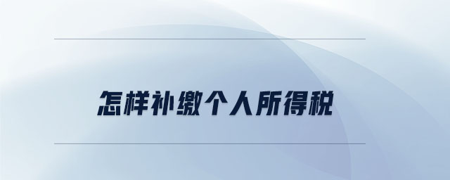 怎樣補繳個人所得稅
