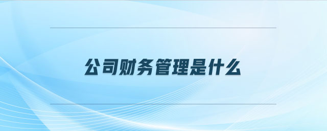公司財務(wù)管理是什么