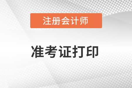 山東省臨沂注冊會計師準考證打印是從8月8日開始嗎？