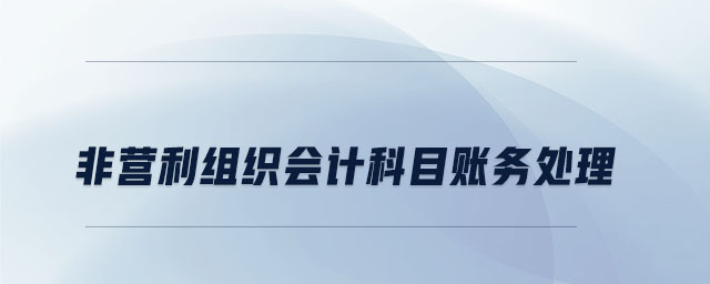 非營利組織會計科目賬務(wù)處理