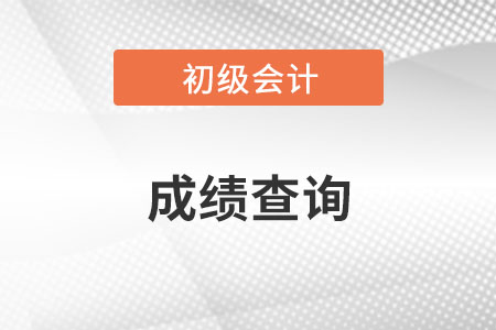 河南省鄭州初級(jí)會(huì)計(jì)成績(jī)查詢?nèi)肟诰W(wǎng)址是什么？