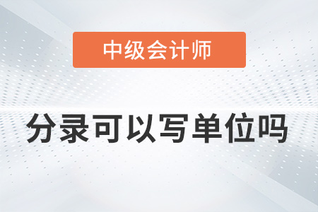 2022年中級會計(jì)實(shí)務(wù)分錄后面可以寫單位嗎？
