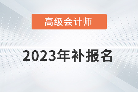 高級(jí)會(huì)計(jì)師補(bǔ)報(bào)名2023年是什么時(shí)候？