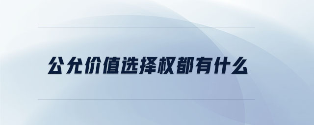 公允價值選擇權(quán)都有什么