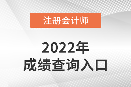 注會(huì)成績(jī)查詢?nèi)肟谟袔讉€(gè)？