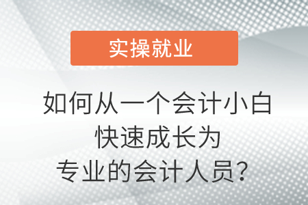 如何在獨立的情況下從一個會計小白快速成長為專業(yè)的會計人員？