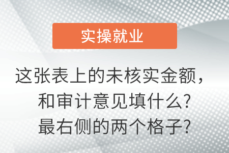 這張表上的未核實(shí)金額，和審計(jì)意見填什么?最右側(cè)的兩個(gè)格子?