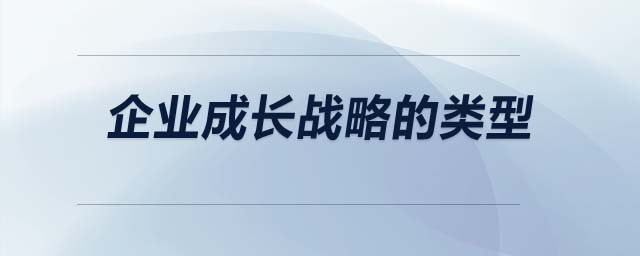 企業(yè)成長(zhǎng)戰(zhàn)略的類(lèi)型