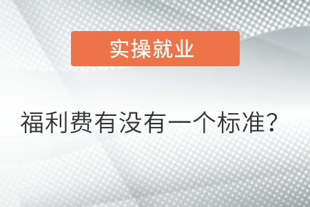 福利費(fèi)有沒有一個標(biāo)準(zhǔn)？