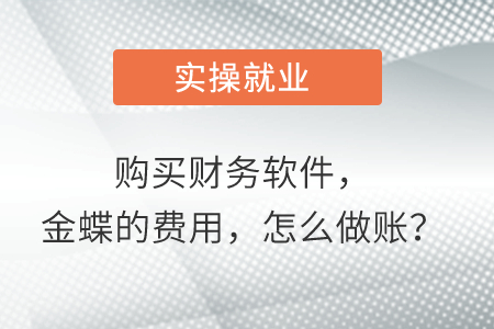 購買財務軟件，金蝶的費用，怎么做賬？