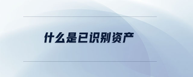 什么是已識(shí)別資產(chǎn)