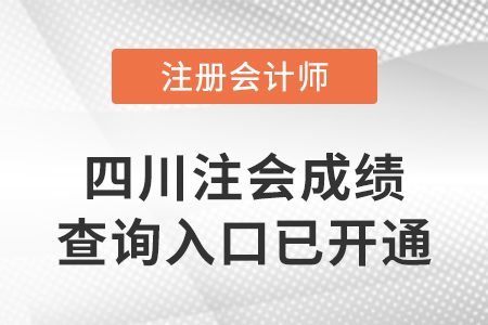 2022年四川省涼山注冊(cè)會(huì)計(jì)師成績(jī)查詢?nèi)肟谝验_通！快來(lái)查分！