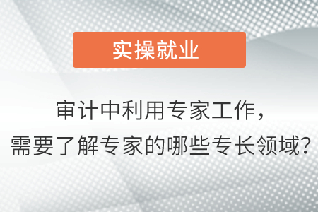 審計中利用專家工作，需要了解專家的哪些專長領(lǐng)域？