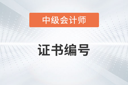中級(jí)會(huì)計(jì)師證書號(hào)是哪一個(gè)你了解嗎？