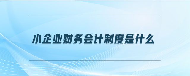 小企業(yè)財務會計制度是什么