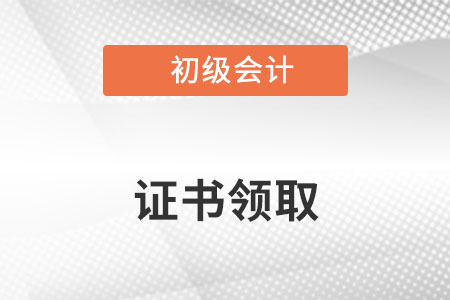 初級(jí)會(huì)計(jì)證書查詢?nèi)肟诠倬W(wǎng)是什么你知道嗎？