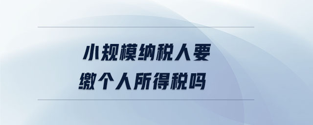 小規(guī)模納稅人要繳個(gè)人所得稅嗎