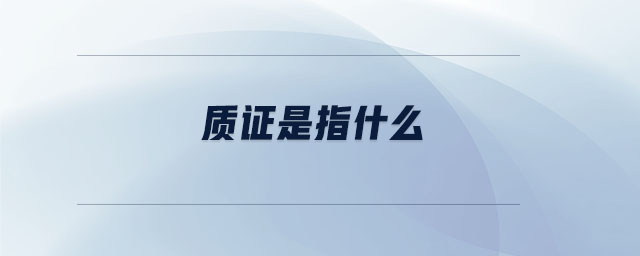 質(zhì)證是指什么