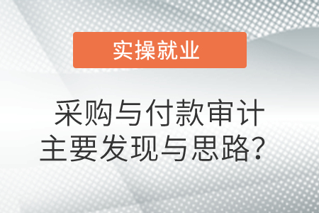 采購(gòu)與付款審計(jì)主要發(fā)現(xiàn)與思路？