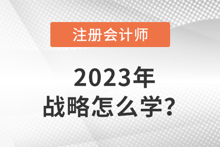 注冊(cè)會(huì)計(jì)師戰(zhàn)略2023年怎么學(xué)？