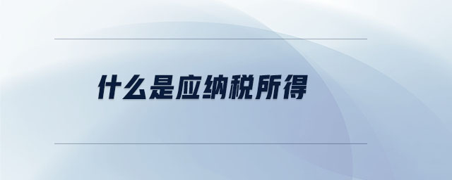 什么是應納稅所得