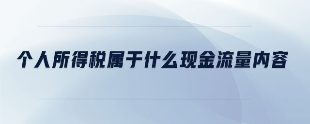 個人所得稅屬于什么現(xiàn)金流量內(nèi)容