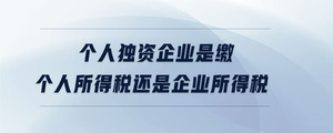 個人獨資企業(yè)是繳個人所得稅還是企業(yè)所得稅