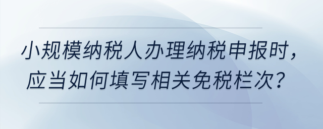 小規(guī)模納稅人在辦理增值稅納稅申報(bào)時(shí)，應(yīng)當(dāng)如何填寫相關(guān)免稅欄次？