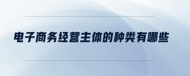 電子商務(wù)經(jīng)營主體的種類有哪些