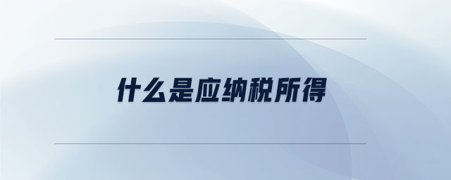 什么是應納稅所得