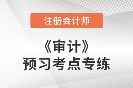 錯(cuò)報(bào)_注會審計(jì)預(yù)習(xí)考點(diǎn)專練