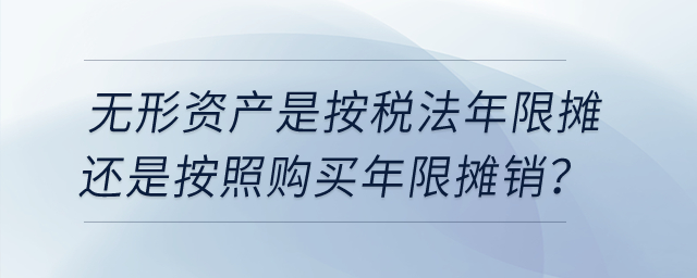 無形資產(chǎn)是按稅法年限攤還是按照購買年限，按購買年限會有暫時性差異吧？