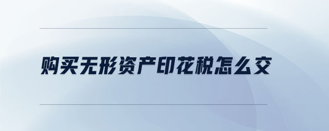 購(gòu)買無(wú)形資產(chǎn)印花稅怎么交