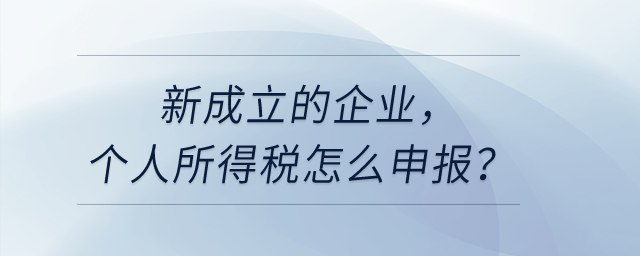 新成立的企業(yè)，個(gè)人所得稅怎么申報(bào)？