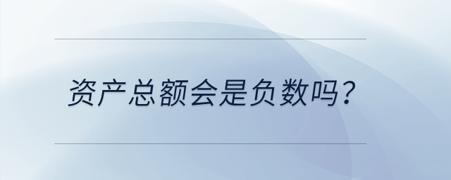 資產(chǎn)總額會是負數(shù)嗎？