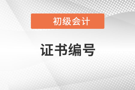 2023年初級會計報名表上有兩個證書編號，怎么填？