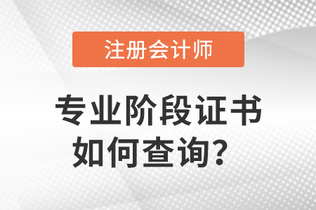 注冊會計師專業(yè)階段證書如何查詢？