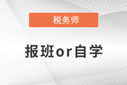 備考2023年稅務(wù)師，報(bào)班和自學(xué)哪個(gè)更適合你？
