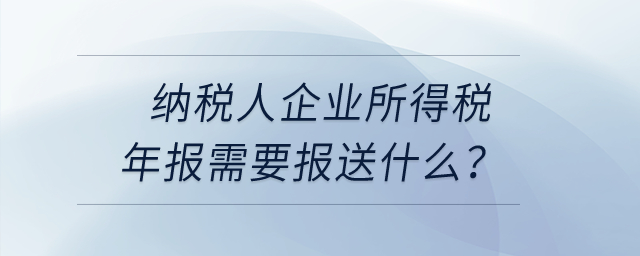 納稅人企業(yè)所得稅年報需要報送什么？