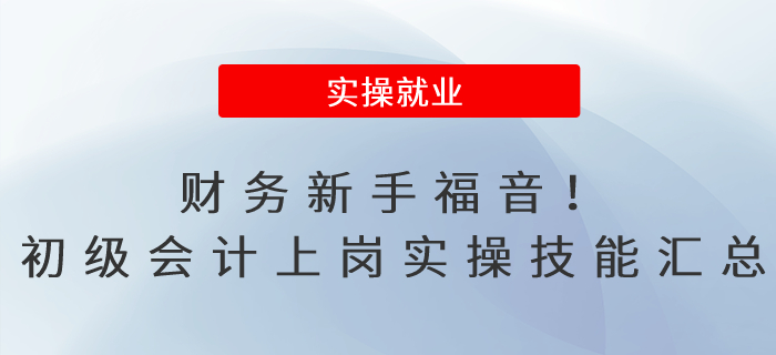 財務(wù)新手福音！初級會計上崗實操技能匯總