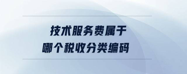 技術(shù)服務(wù)費屬于哪個稅收分類編碼