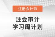 2023年注會審計基礎(chǔ)階段學(xué)習(xí)計劃！建議收藏！
