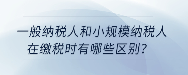 一般納稅人和小規(guī)模納稅人在繳稅時(shí)有哪些區(qū)別？
