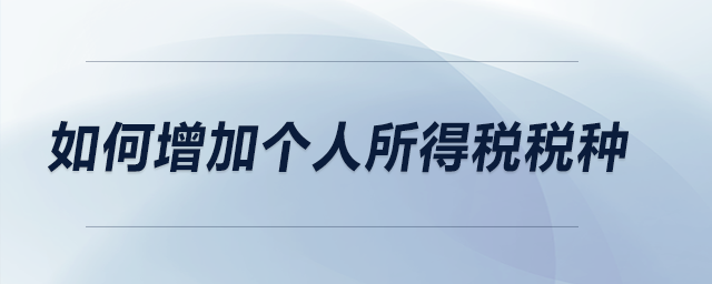 如何增加個人所得稅稅種？
