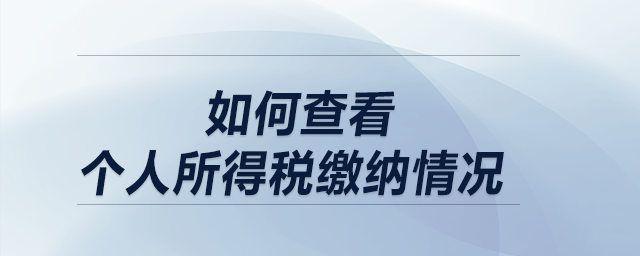 如何查看個(gè)人所得稅繳納情況？