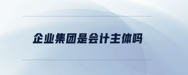 企業(yè)集團(tuán)是會(huì)計(jì)主體嗎